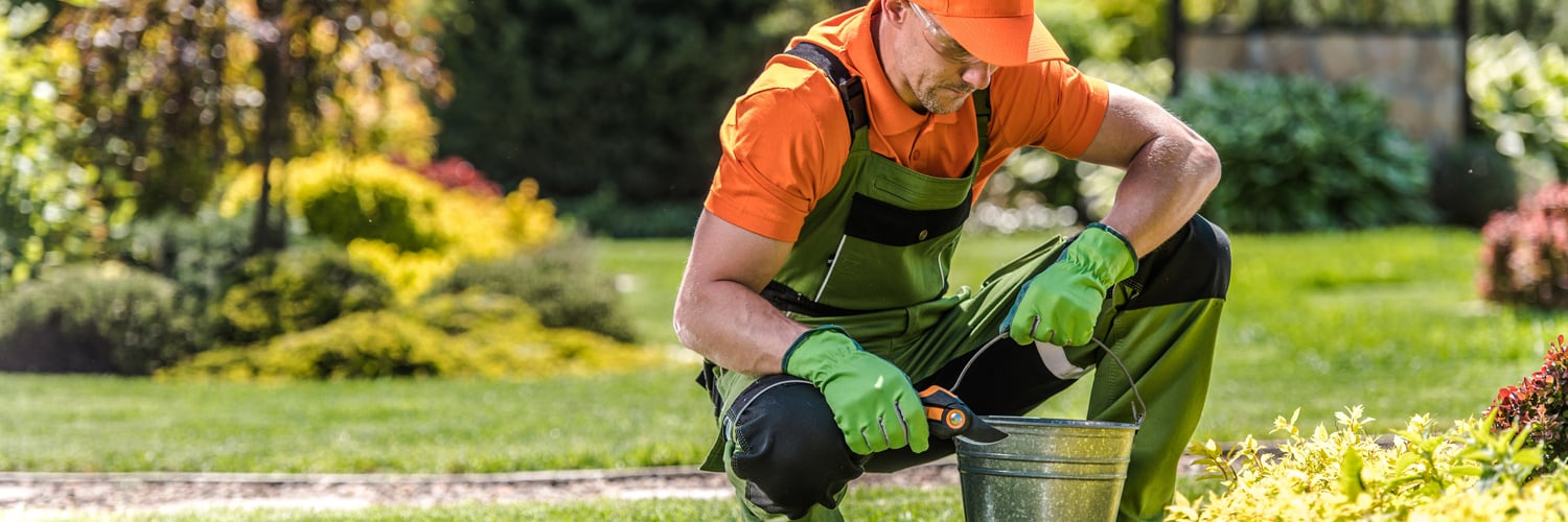Landscaping Insurance  Massachusetts