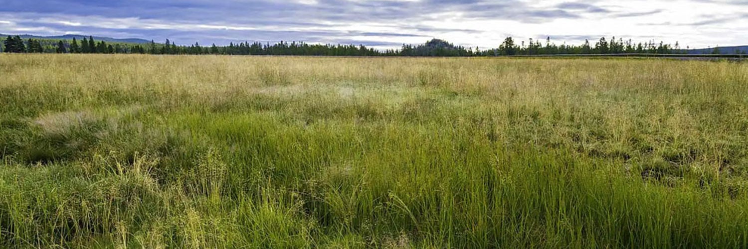 Land Insurance Massachusetts